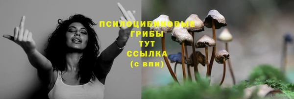 дмт Белокуриха