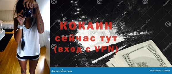 дмт Белокуриха