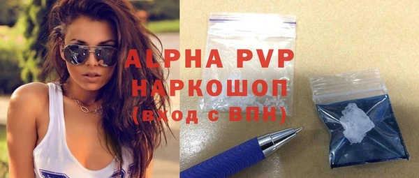дмт Белокуриха
