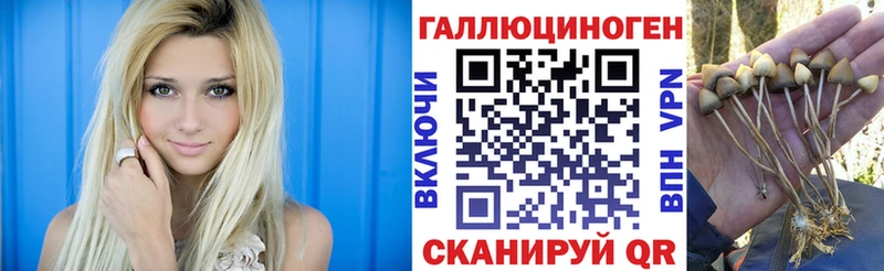 Псилоцибиновые грибы мухоморы  Волгореченск 